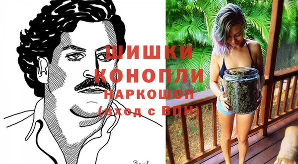 ПСИЛОЦИБИНОВЫЕ ГРИБЫ Белоозёрский
