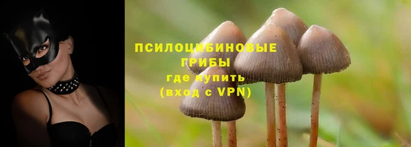 скорость Белокуриха