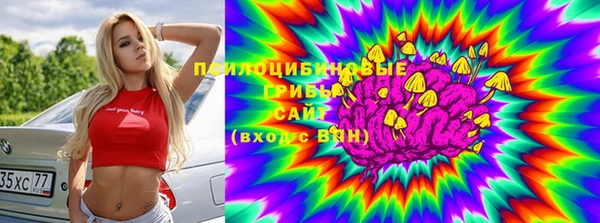 ПСИЛОЦИБИНОВЫЕ ГРИБЫ Белоозёрский